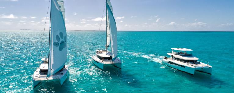 catamaran a sailing boat