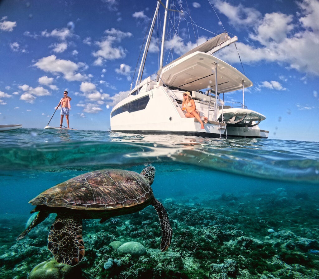 Leopard 46 Sea Turtle
