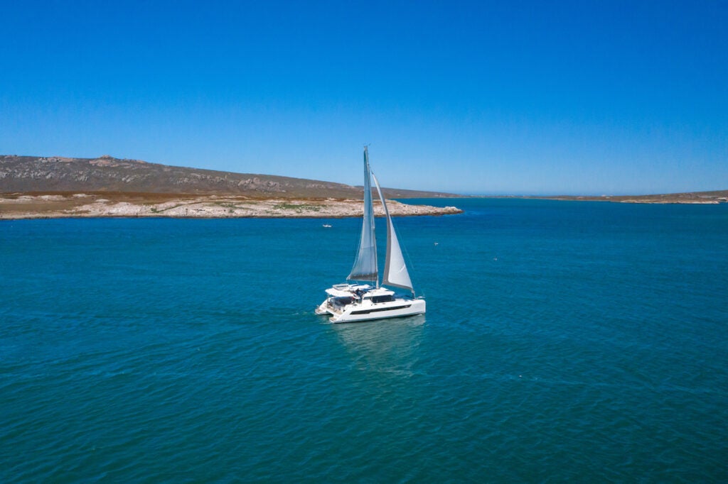 Leopard 42 Cape Town