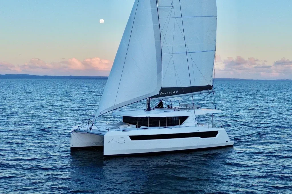 Leopard 46